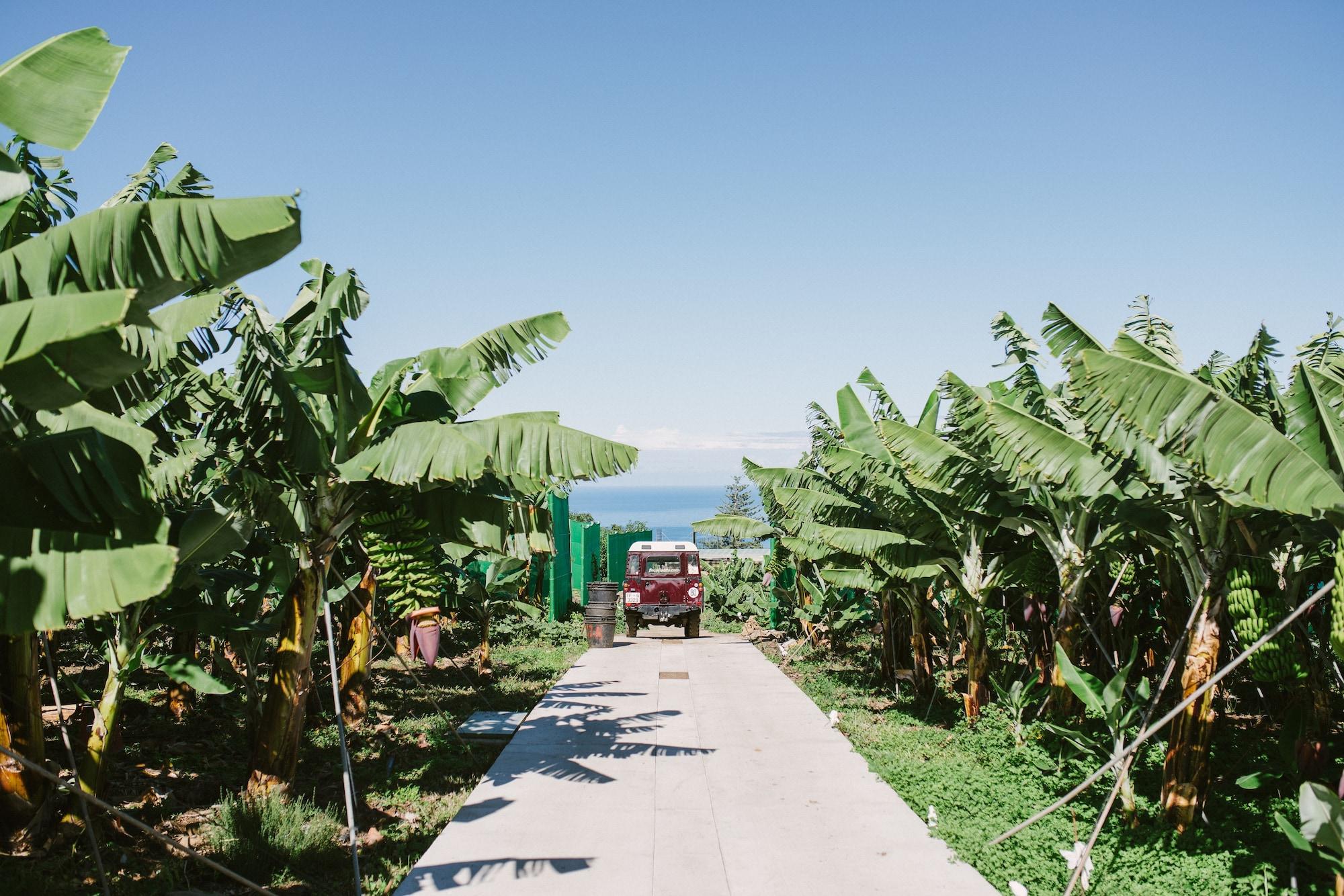 לוס ריאלחוס Finca El Patio מראה חיצוני תמונה