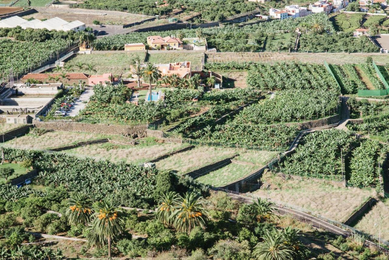 לוס ריאלחוס Finca El Patio מראה חיצוני תמונה
