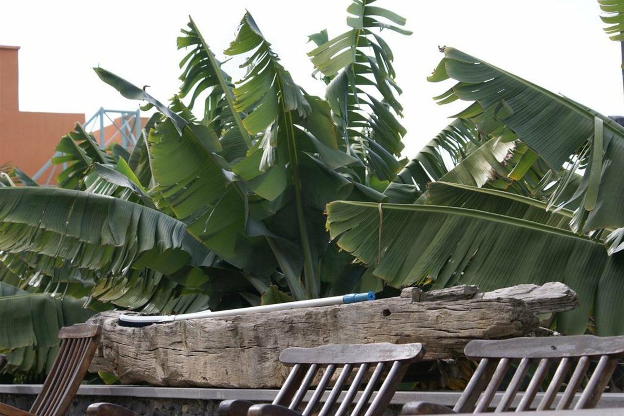 לוס ריאלחוס Finca El Patio מראה חיצוני תמונה